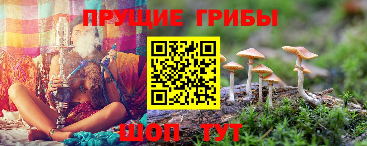 Гашиш Элиста