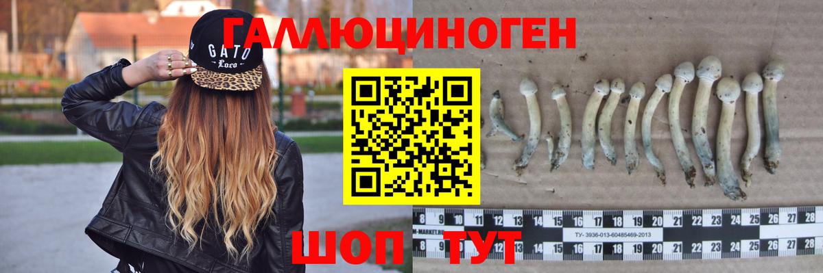 Элиста  Галлюциногенные грибы ЛСД  Галлюциногенные грибы прущие грибы  Вход с VPN 