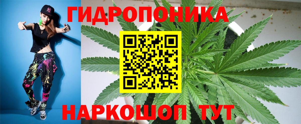 Конопля Amnesia  Вход с VPN  МАРИХУАНА MAZAR  Шишки марихуана гибрид  Элиста 